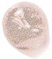 Color Fever Gloss Brillance Vibrante Sensuelle 208 Honey, I Love You - Błyszczyk do ust