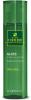 Gloss Brillance Ultime/Glossing Spray Luminous Shine - Lakier nabłyszczający włosy