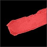 Levres Scintillantes Brillant a Levres Eclat Intense - Błyszczyk do ust 149 Nakkar