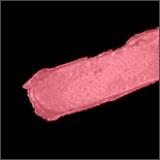 Levres Scintillantes Brillant a Levres Eclat Intense - Błyszczyk do ust 156 Pampille